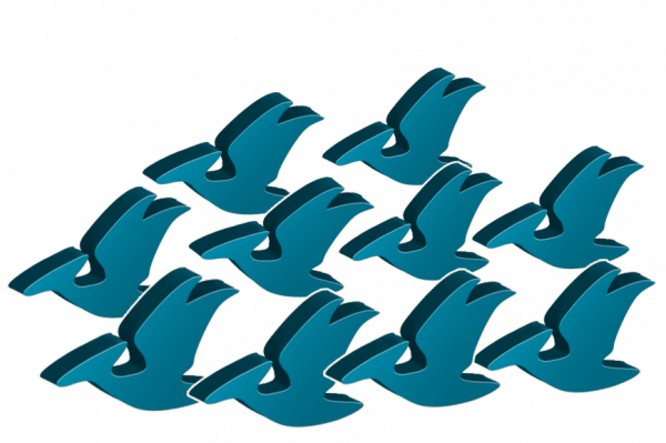 Draftosaurus: Marina - Imagen 4